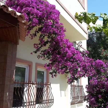 The S & 3* Alanya